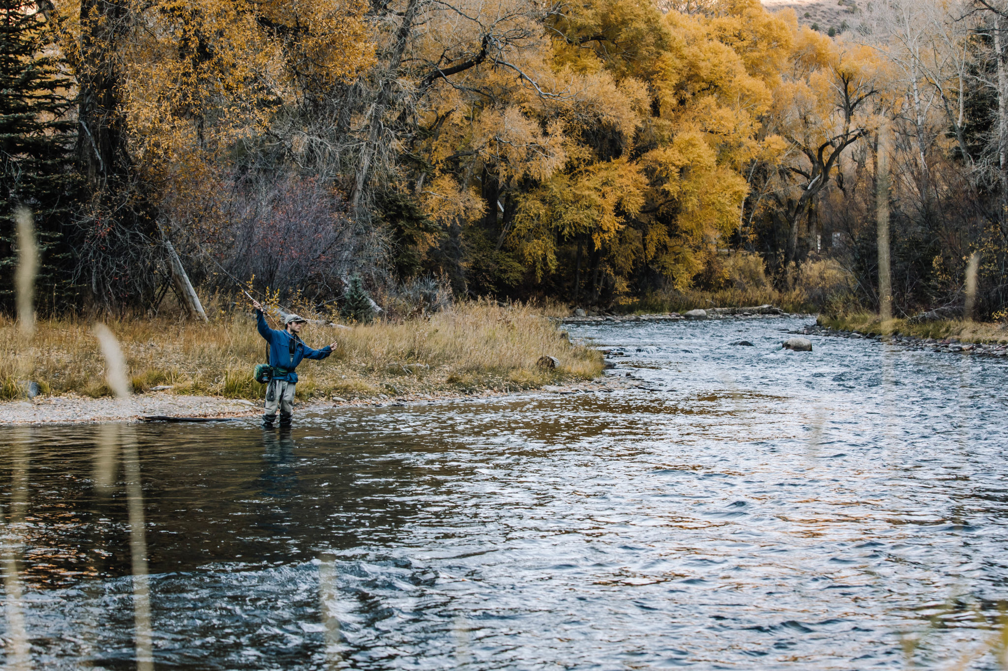 November Nymphs and Streamers in Aspen