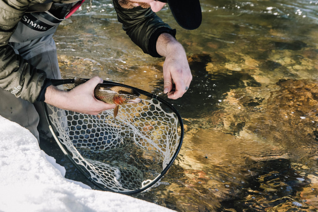 River Midge Fishing Tactics - Part 2